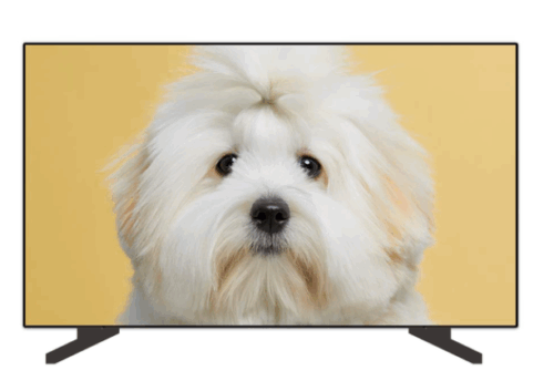 삼성전자 55인치 크리스탈 UHD TV